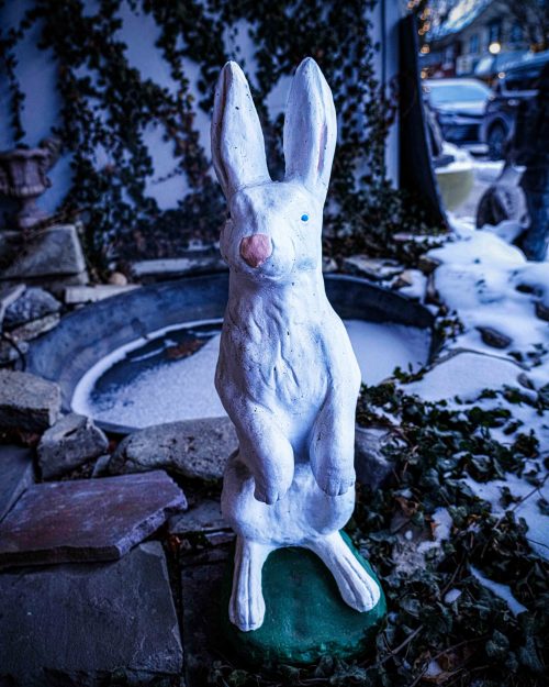 Musician's Creative Journey reflection through music, photography, and writing