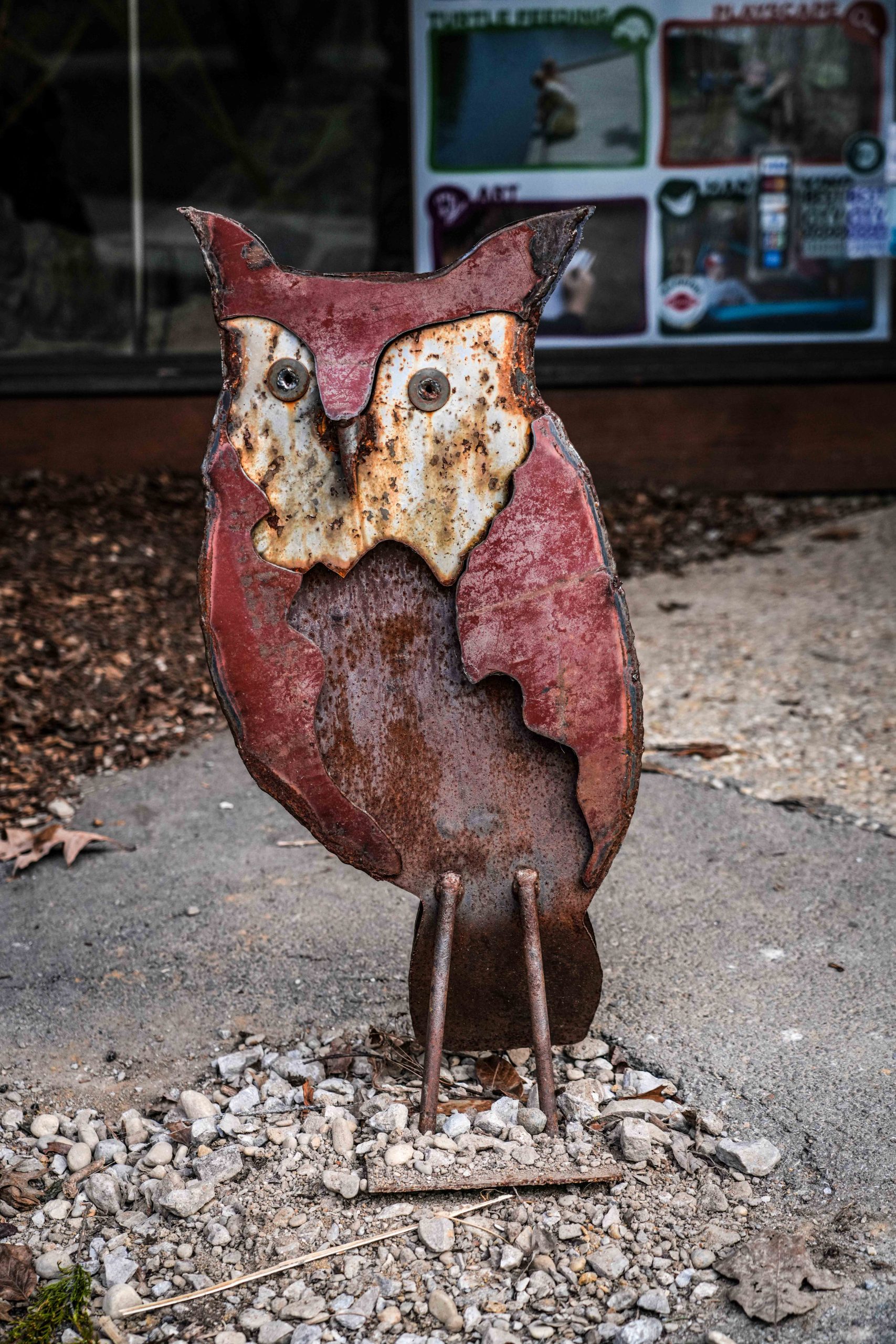 Owl at Cincinnati Nature Center - Musician’s Creative Journey Week Ten Reflection