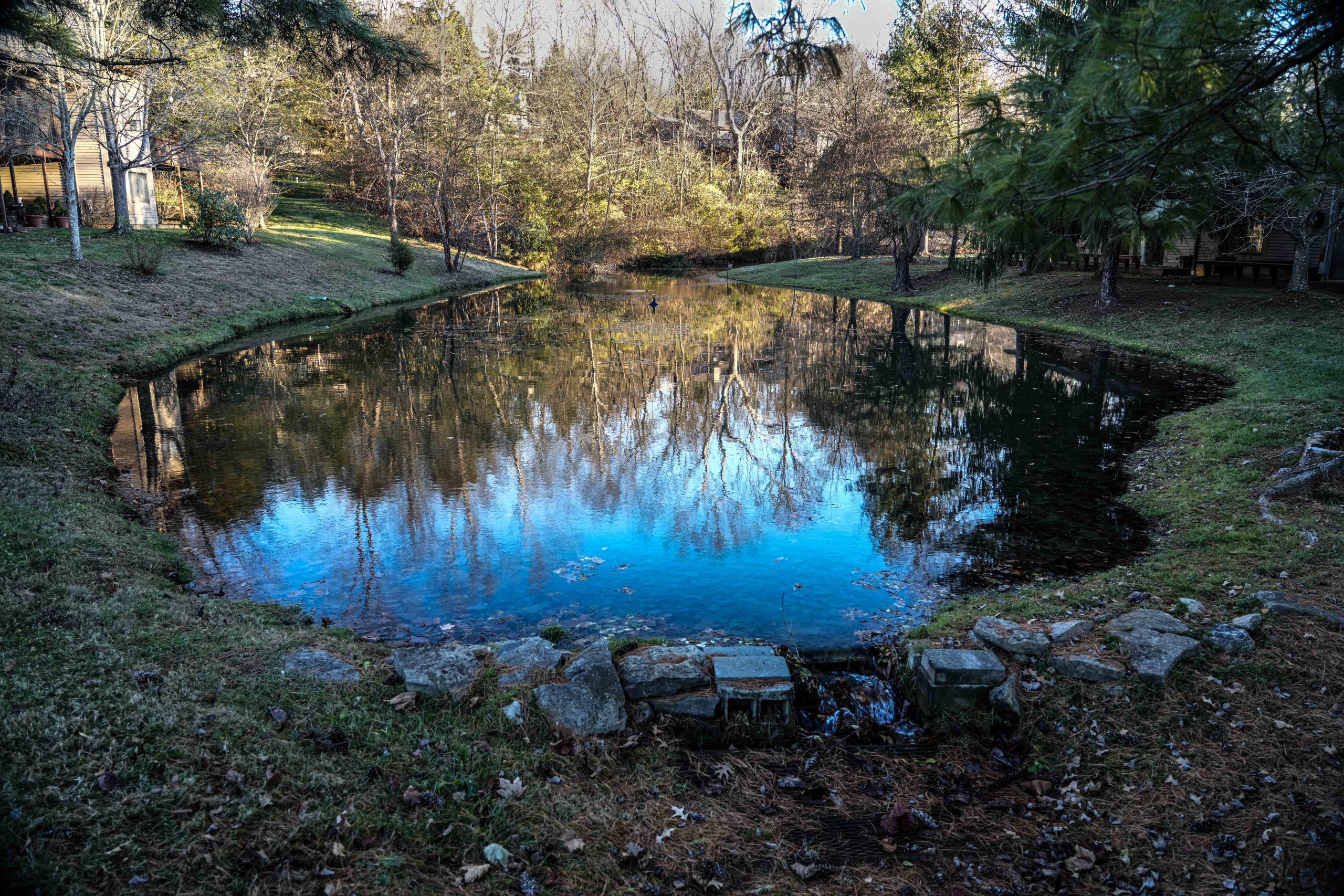 Musician’s Creative Journey Week Nine Reflection