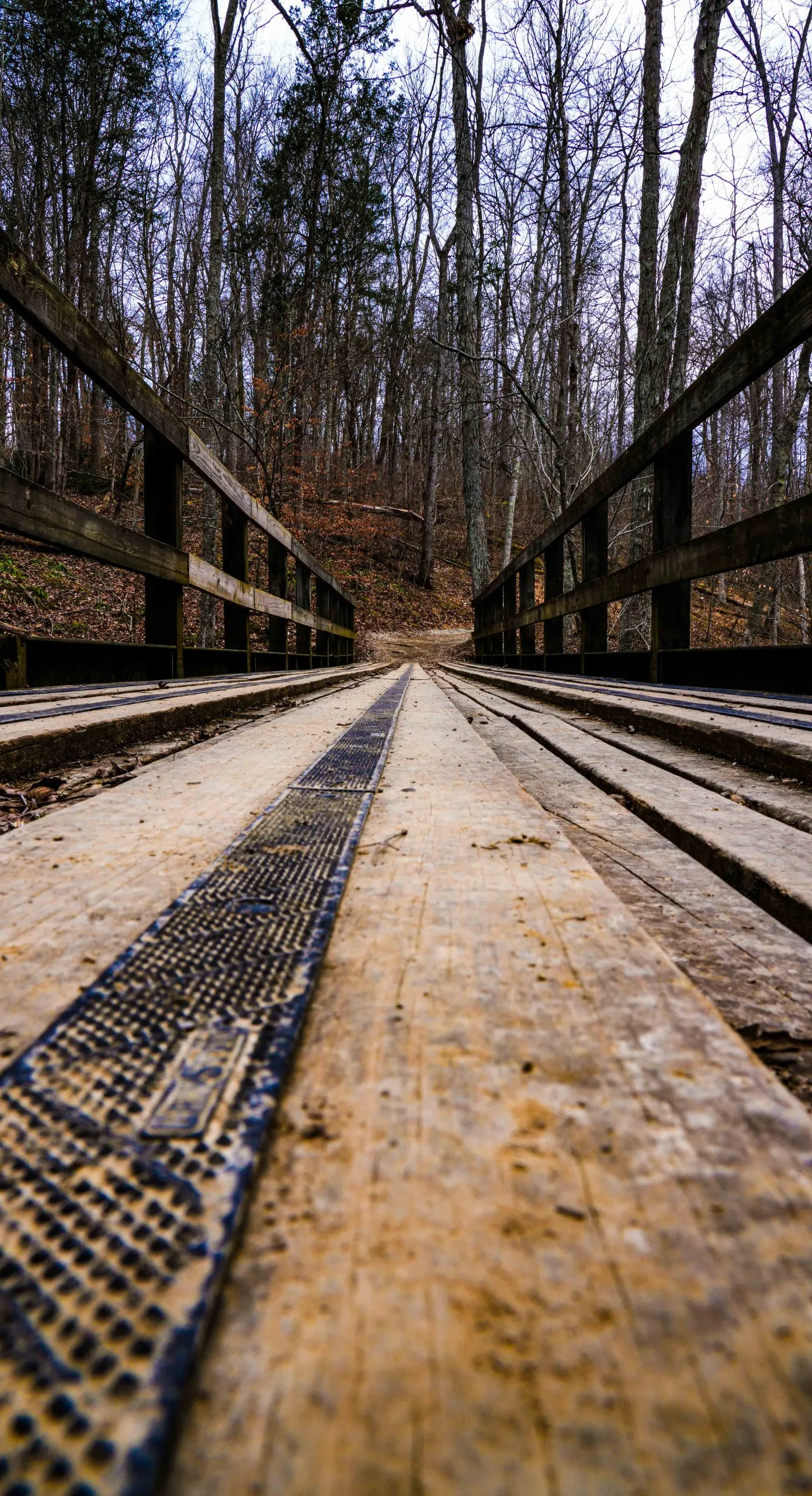 Musician’s Creative Journey Week Eight Reflection