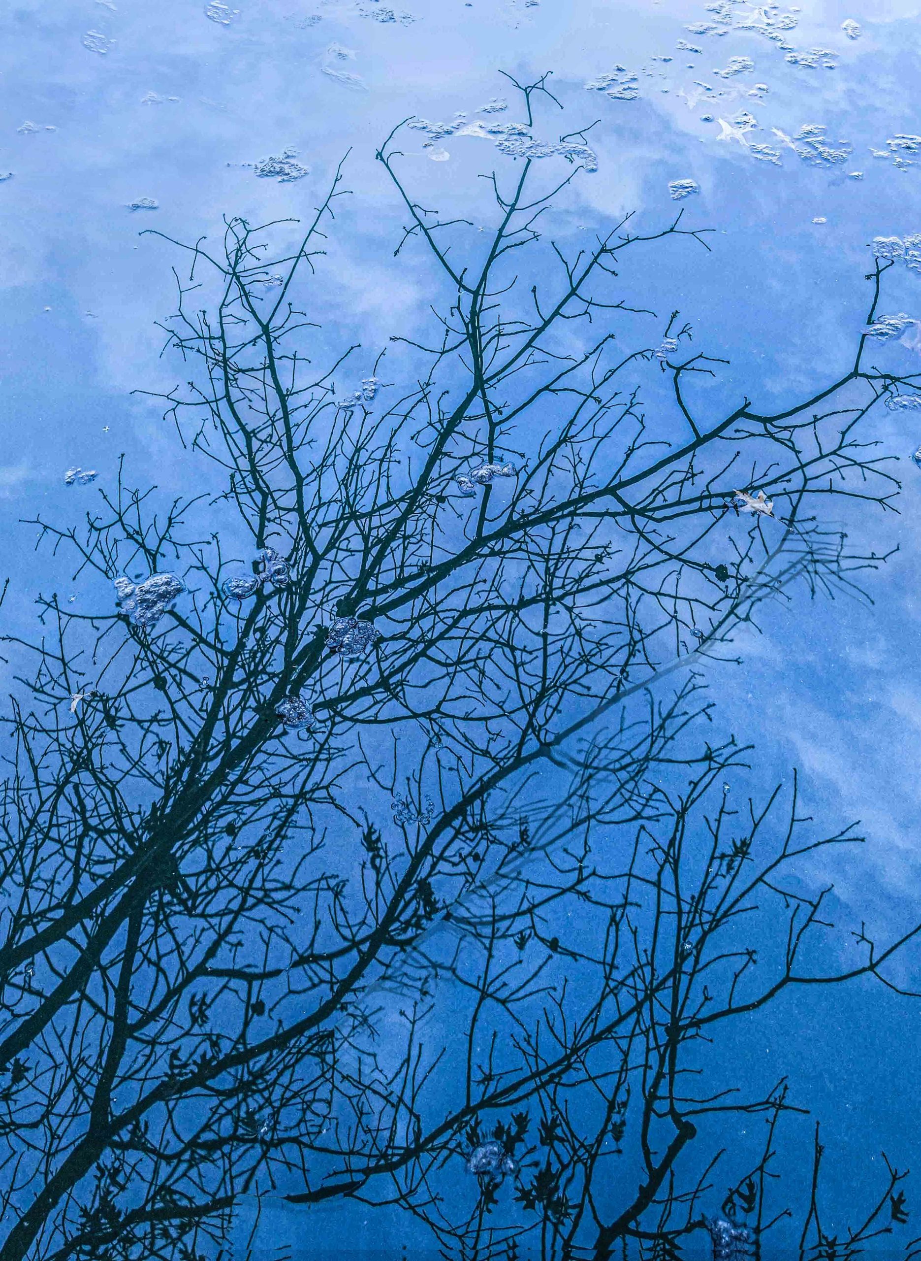 Musician’s Creative Journey Week Eight Reflection