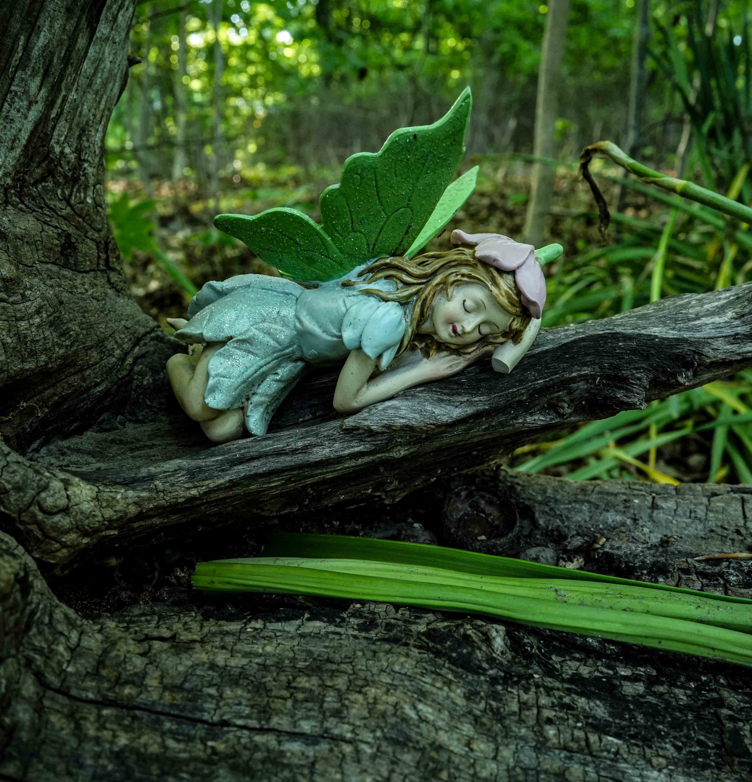 Musician's Creative Journey - A Fairy resting on a branch