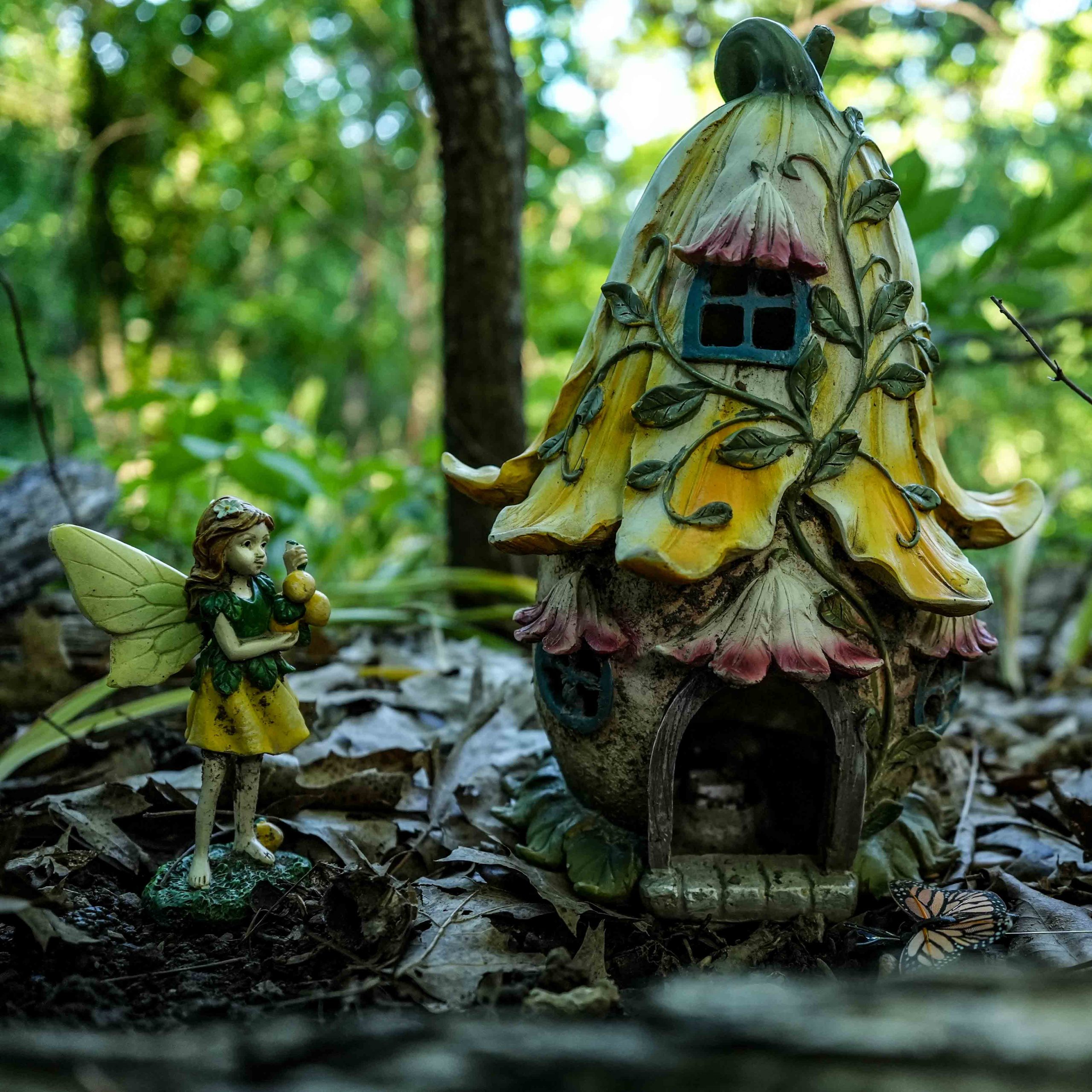 Musician's Creative Journey - A Fairy and a Hobbit House