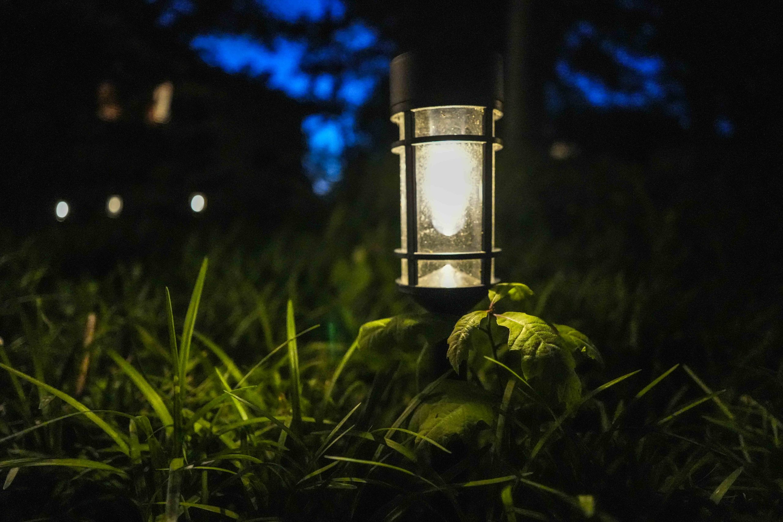 07 Solar lighs 07891 scaled Kelly Richey