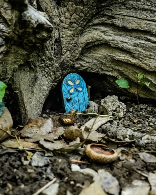 Musician's Creative Journey week 21 - Doorways