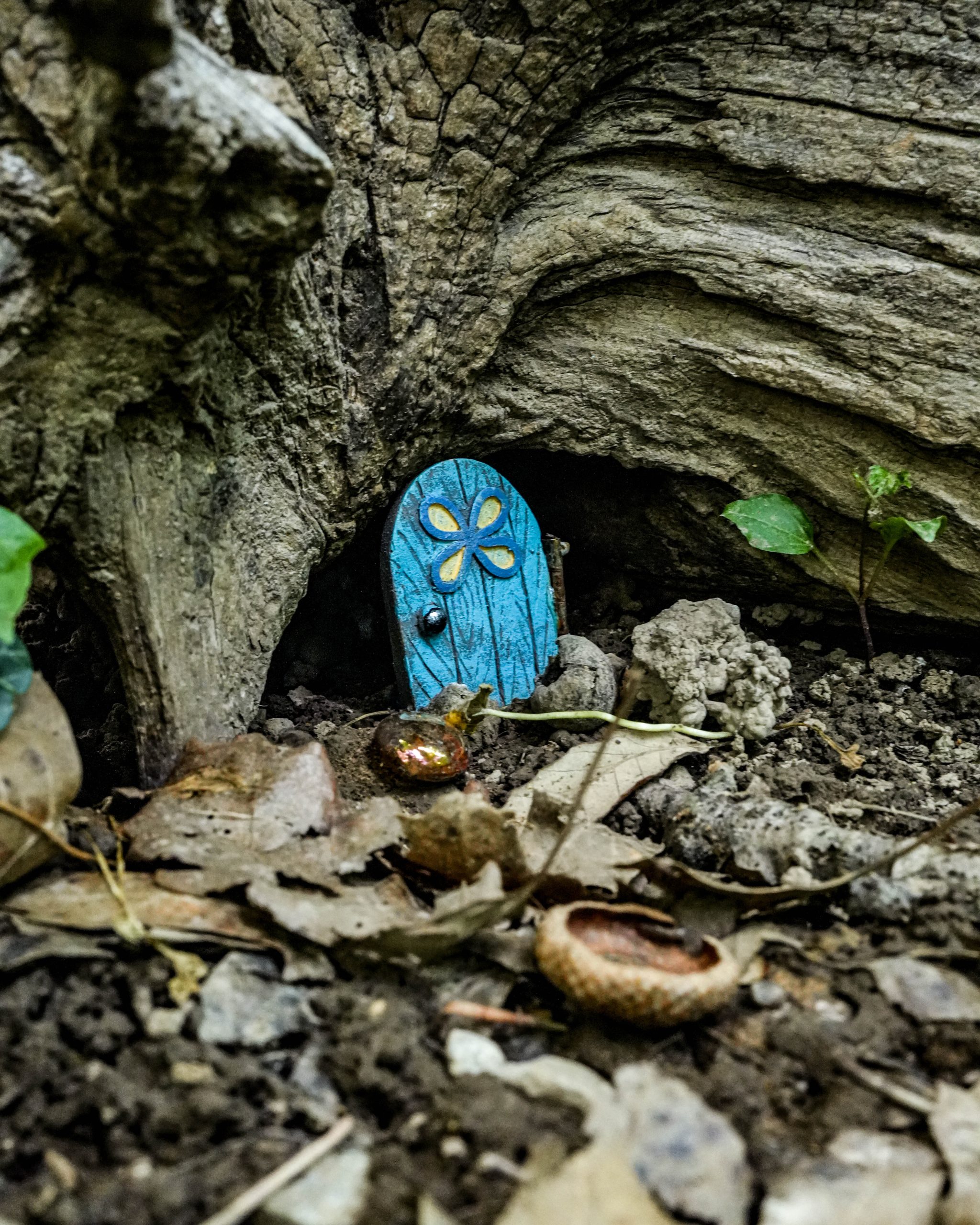 A Musician's Creative Journey: Week 21 – Memory and Motion 1 Musician's Creative Journey - Doorways